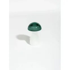 Baromètre Storm glass champignon vert