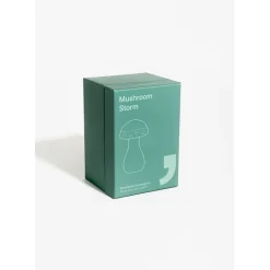 Baromètre Storm glass champignon vert