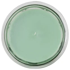 Bougie sous le figuier vert 220g
