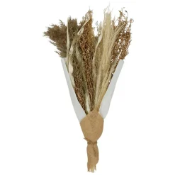 Bouquet fleurs séchées limonium brun h50cm plantes séchées