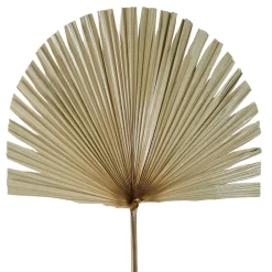 Branchage palmier naturel 50xh96cm feuille de palmier