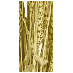Branche triticum doré h70cm