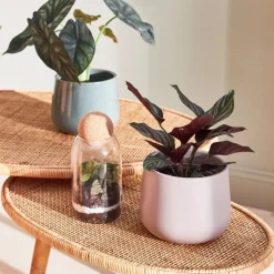 Cache pot en céramique taupe d13.5cm