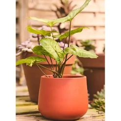Cache pot en céramique terracotta d13.5cm