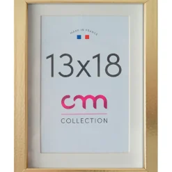 Cadre photo passe partout 1vue 13x18cm champagne