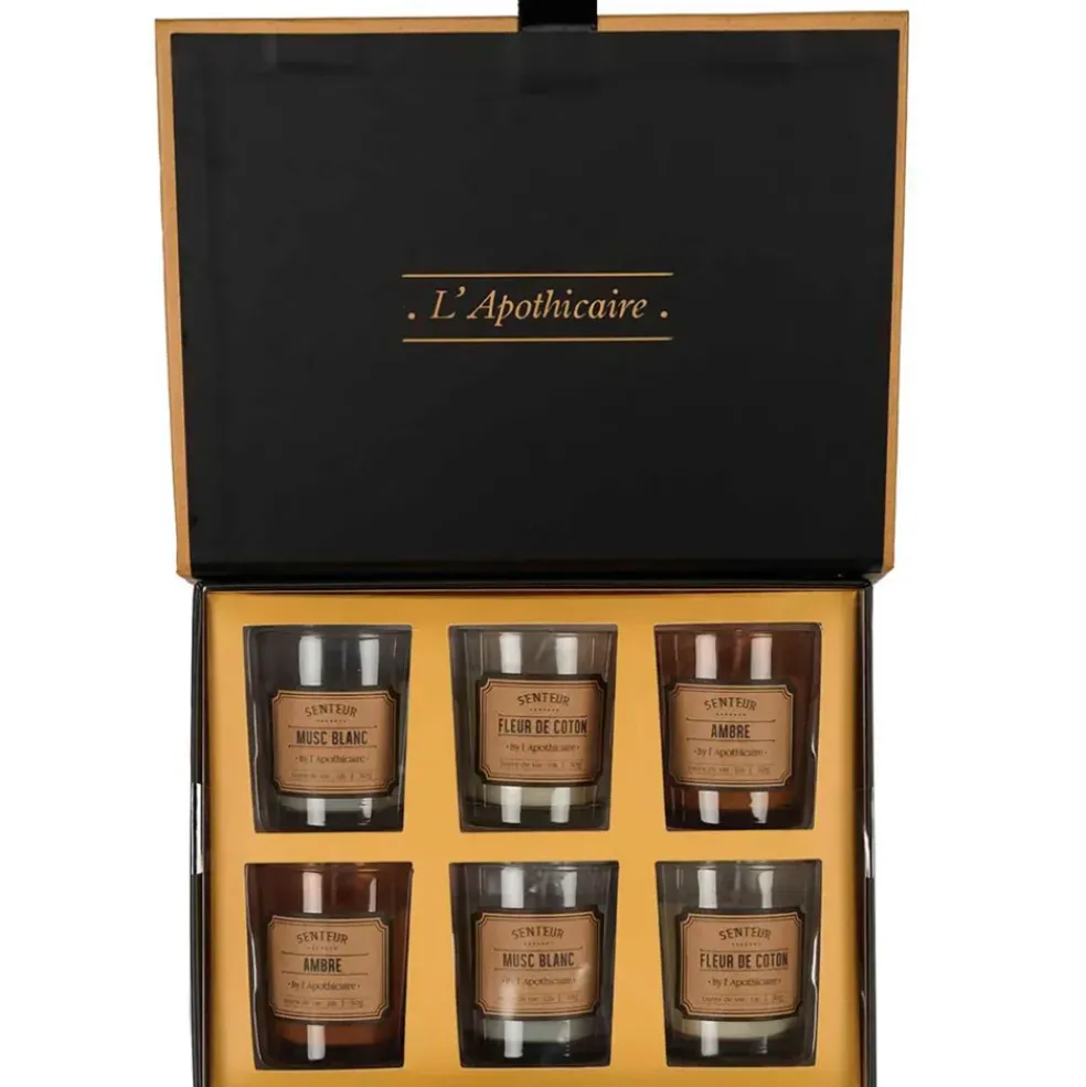 Coffret de 6 bougies parfumée musc blanc, fleur de coton et ambre 6h - Apothicaire