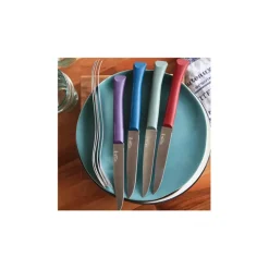 Coffret de 4 couteaux de table multicolor - Opinel