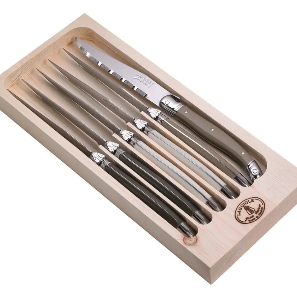Coffret de 6 couteaux en acier inoxydable - Laguiole