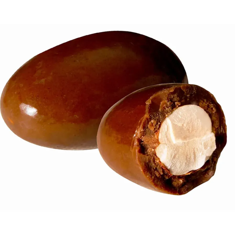 Crousti-amande chocolatée 135g