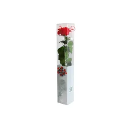 Dame jeanne 0.7l olive en verre d8.5xh20cm