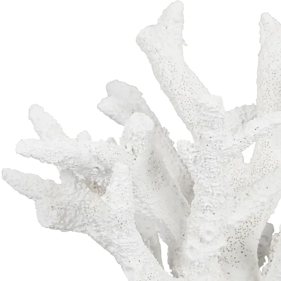 Déco corail en relief blanc - bordemer