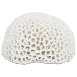 Déco corail rond blanc - bordemer