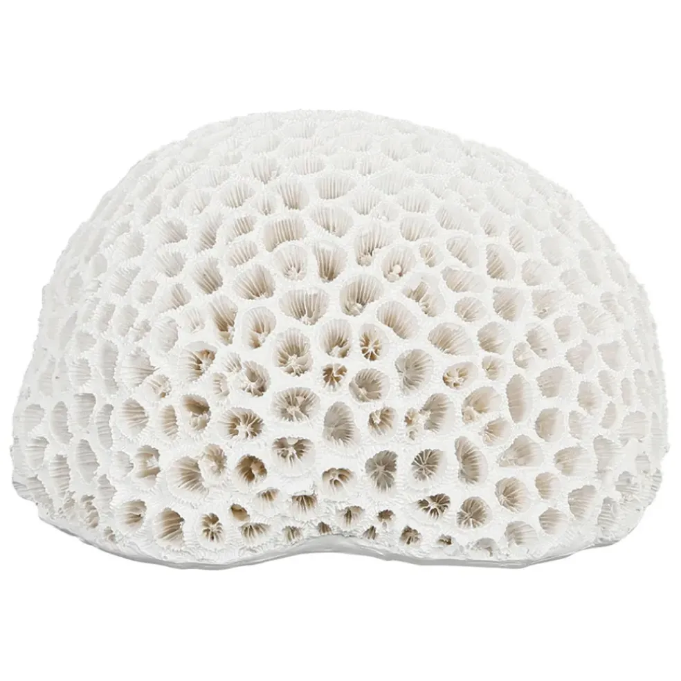 Déco corail rond blanc - bordemer