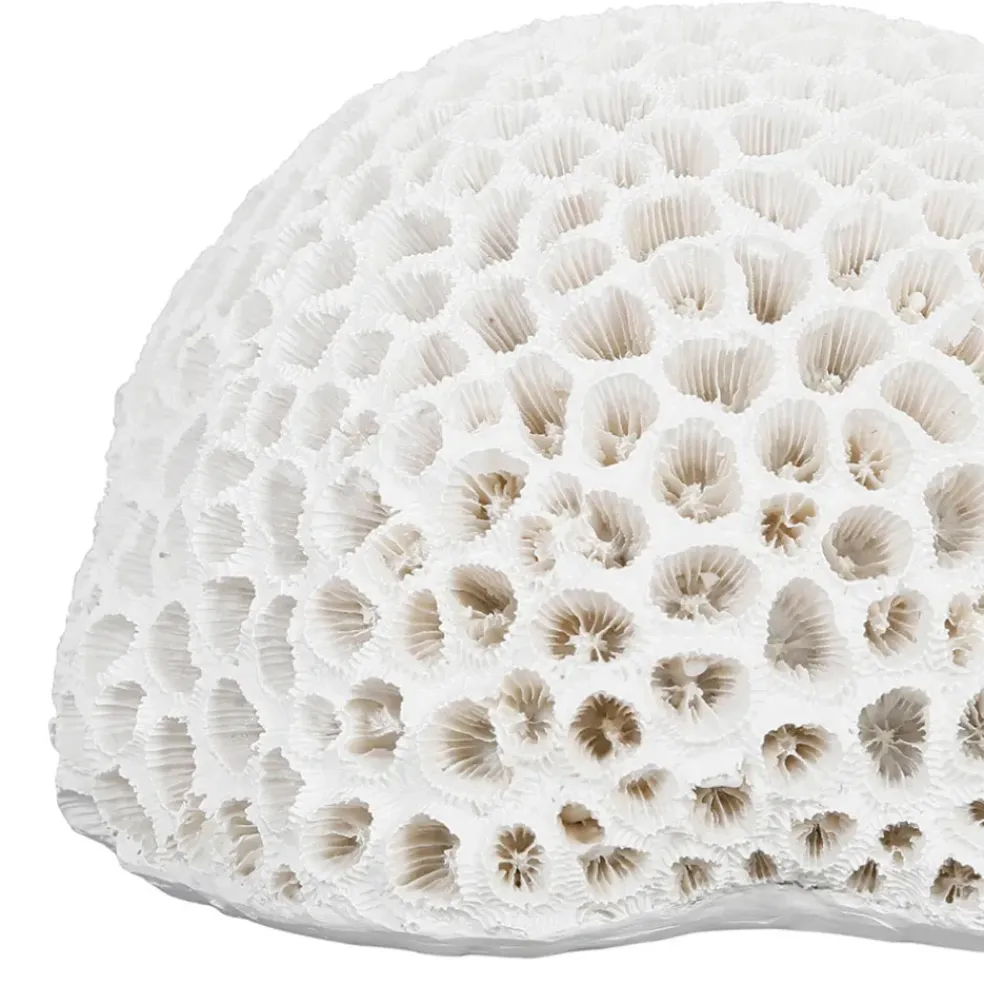 Déco corail rond blanc - bordemer