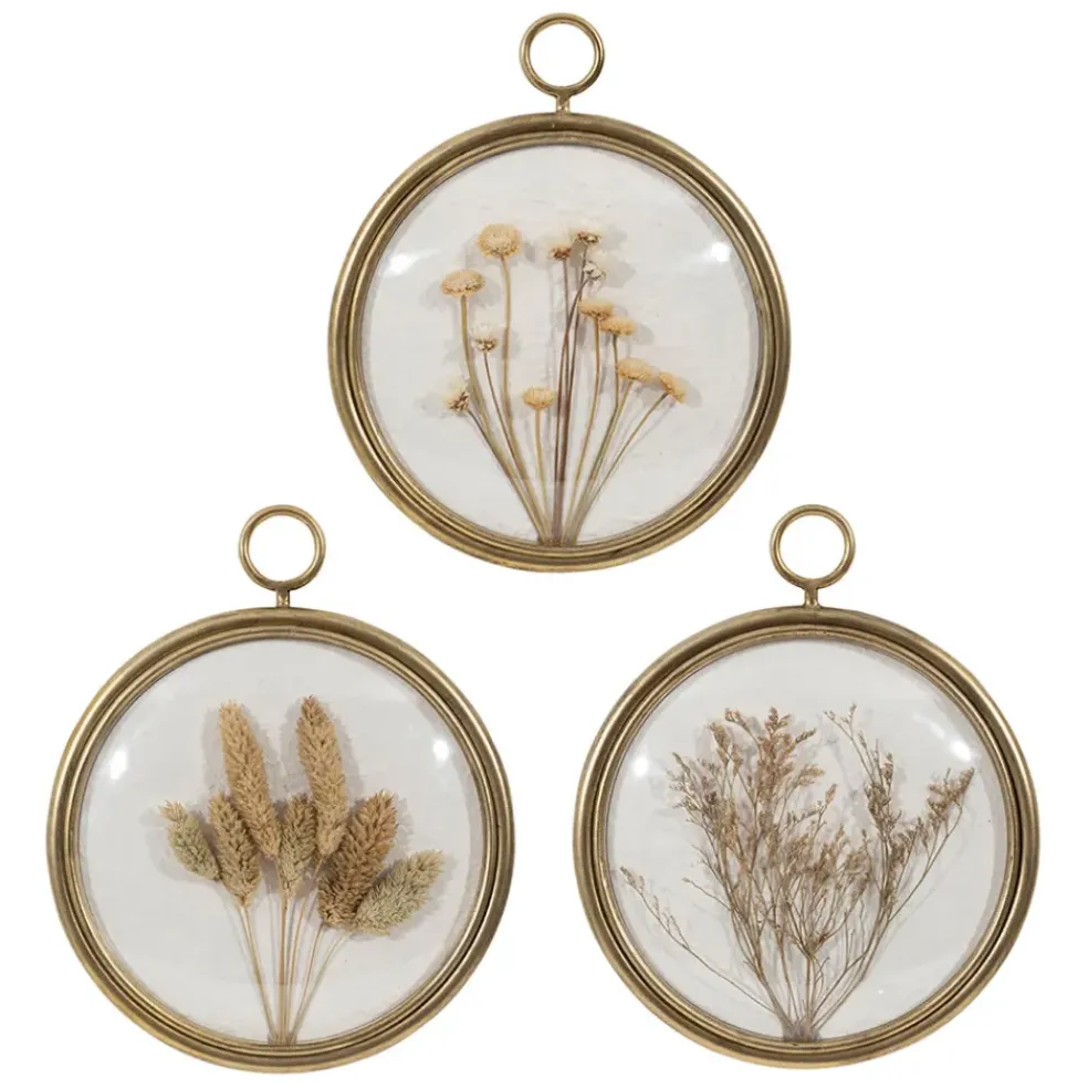 Déco murale médaillon en fer (x3) fleurs séchées