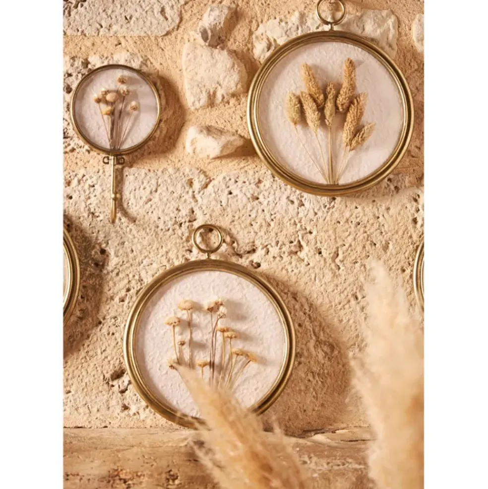 Déco murale médaillon en fer (x3) fleurs séchées