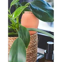 Diffuseur d'eau en argile terracotta 25cl - Olla