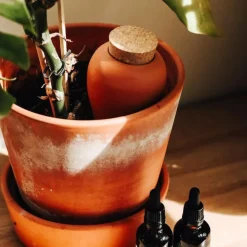 Diffuseur d'eau en argile terracotta 25cl - Olla
