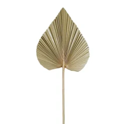 Feuille de palmier naturel h62cm - Golden