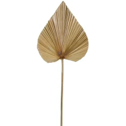 Feuille de palmier naturel h62cm - Golden