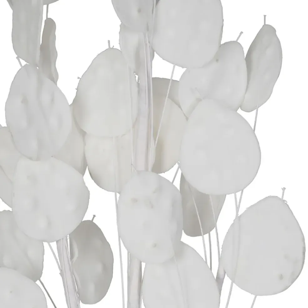 Fleur artificielle blanche h105cm - Beckia