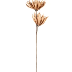 Fleur artificielle brun h97cm - Fleur