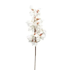 Fleur okinawa blanc h100cm