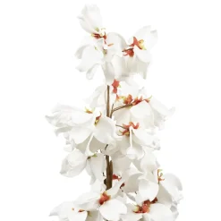 Fleur okinawa blanc h100cm