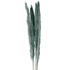 Fleur pampas x6 emeraude h75cm vegetal