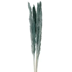 Fleur pampas x6 emeraude h75cm vegetal