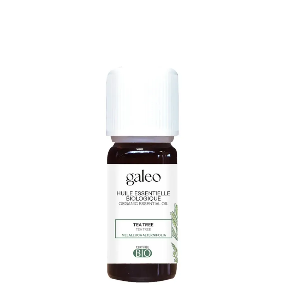 Huile essentielle bio 10ml tea tree