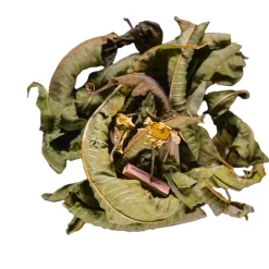 Infusion menthe fraiche menthe verveine bio - 30g