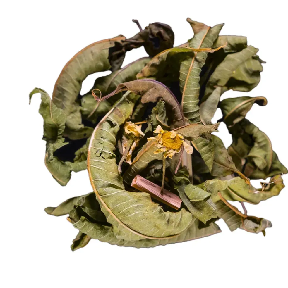 Infusion menthe fraiche menthe verveine bio - 30g