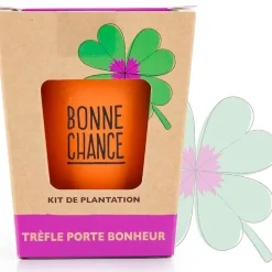 Kit message bonne chance - trèfle à 4 feuilles