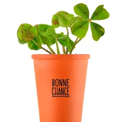 Kit message bonne chance - trèfle à 4 feuilles
