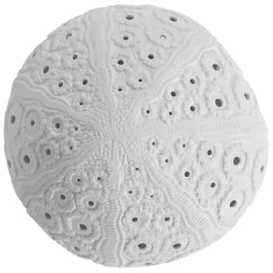 Lampe en porcelaine blanc h12cm - Galet