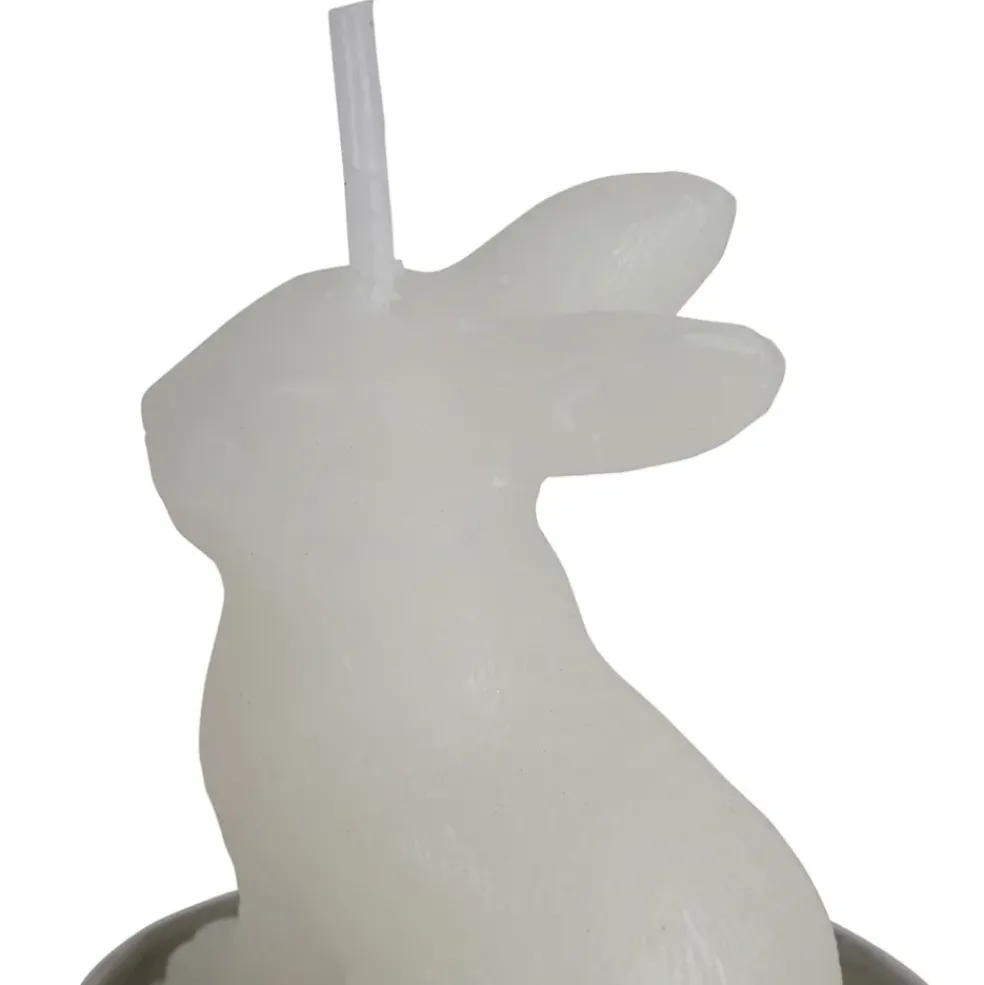 Lot de 6 bougies lapin blanc 2h - Floreal