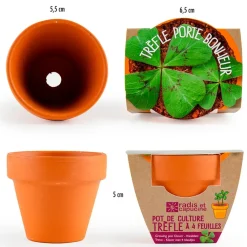Mini kit d6cm terre cuite trèfle 4 feuilles