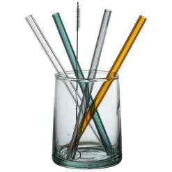 Paille avec brosse x4 dilacia h15.5cm en verre borosilicate