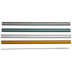 Paille avec brosse x4 dilacia h15.5cm en verre borosilicate