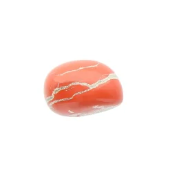Pierre roulée jaspe rouge taille L