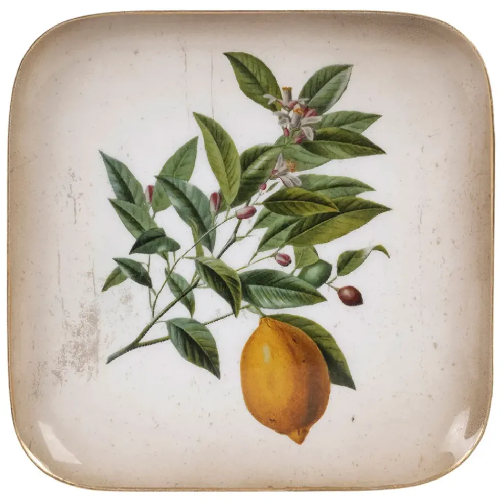 Plateau citronnier en fer vert et jaune 16x16cm - Botanique
