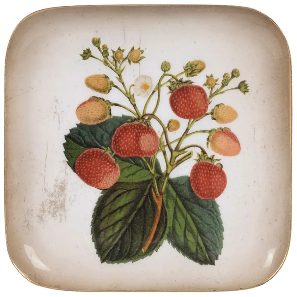 Plateau fraisier en fer multicolore 16x16cm - Botanique