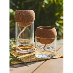 Pot auto arrosant en verre transparent d10xh21cm