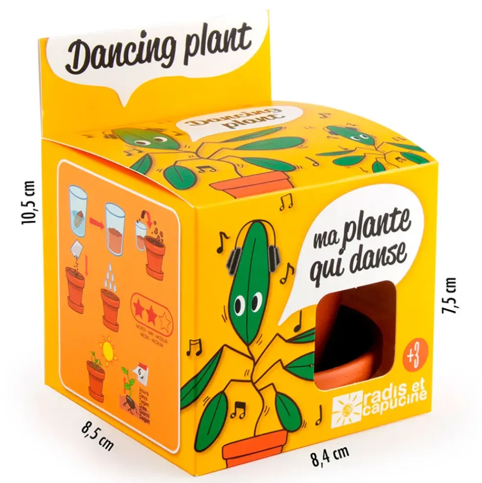 Pot d8cm avec coupelle plante qui danse