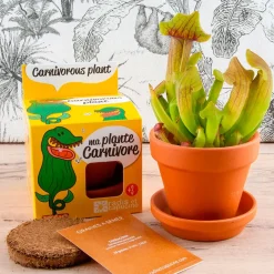 Pot d8cm avec coupelle plantes carnivores