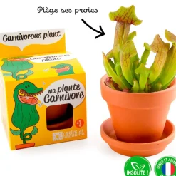 Pot d8cm avec coupelle plantes carnivores