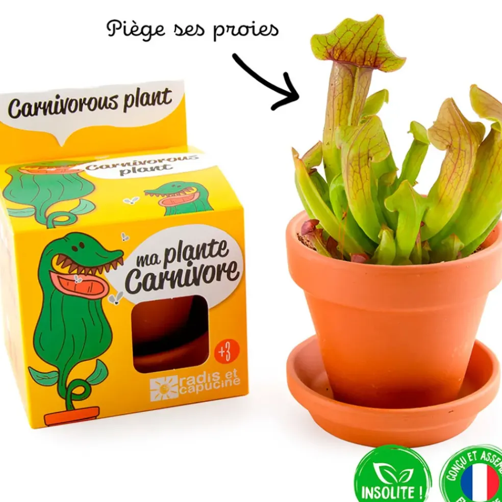 Pot d8cm avec coupelle plantes carnivores