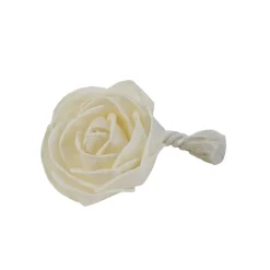Rose parfumée sesbania
