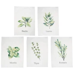 Set de 5 torchons aroma vert et lin en coton